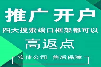 SEM代运营公司案例：优化策略揭秘